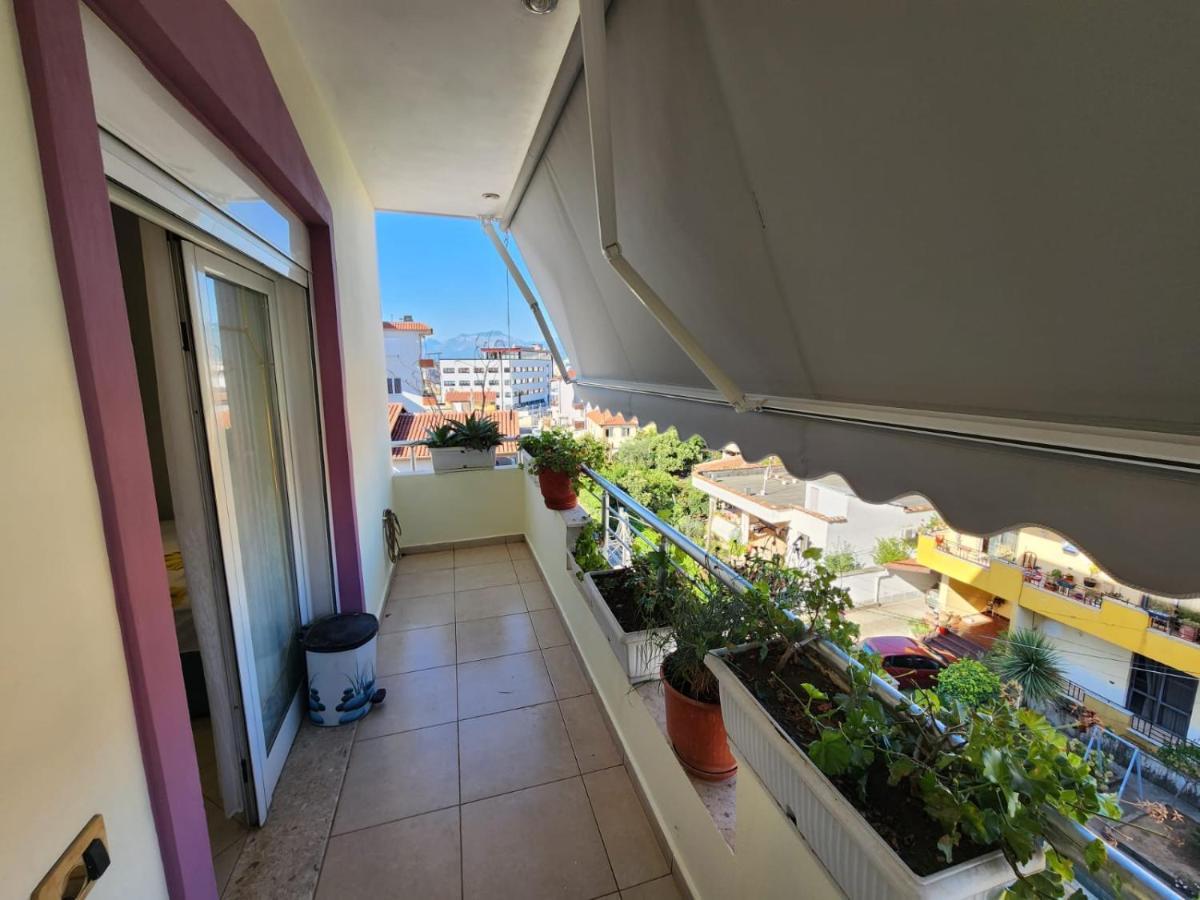 Tirana Class House المظهر الخارجي الصورة