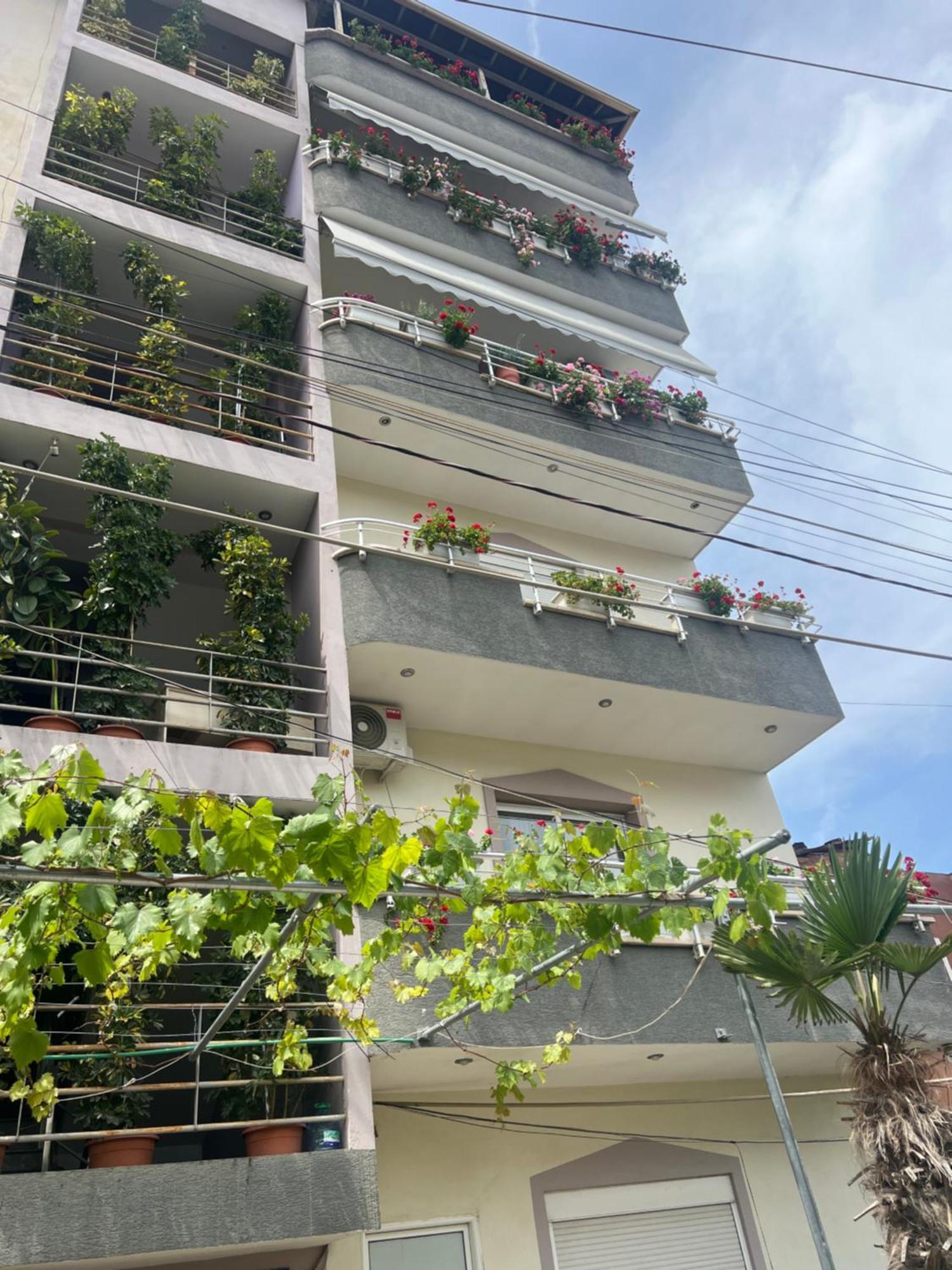 Tirana Class House المظهر الخارجي الصورة